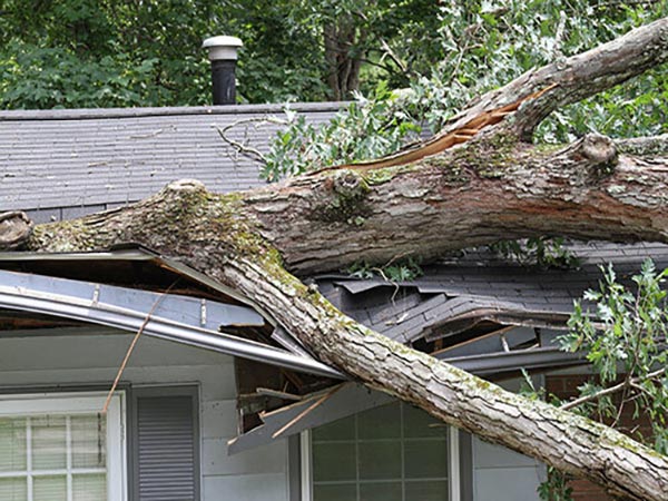 Storm Damage & Insurance Claims